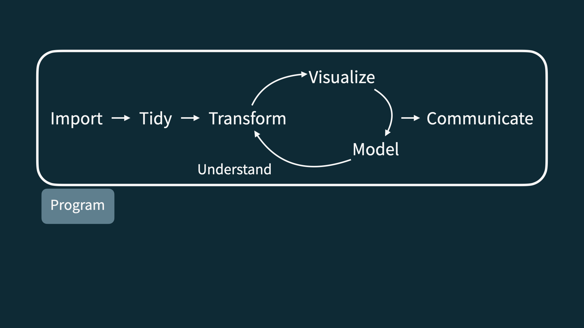 Data science life cycle, with program highlighted